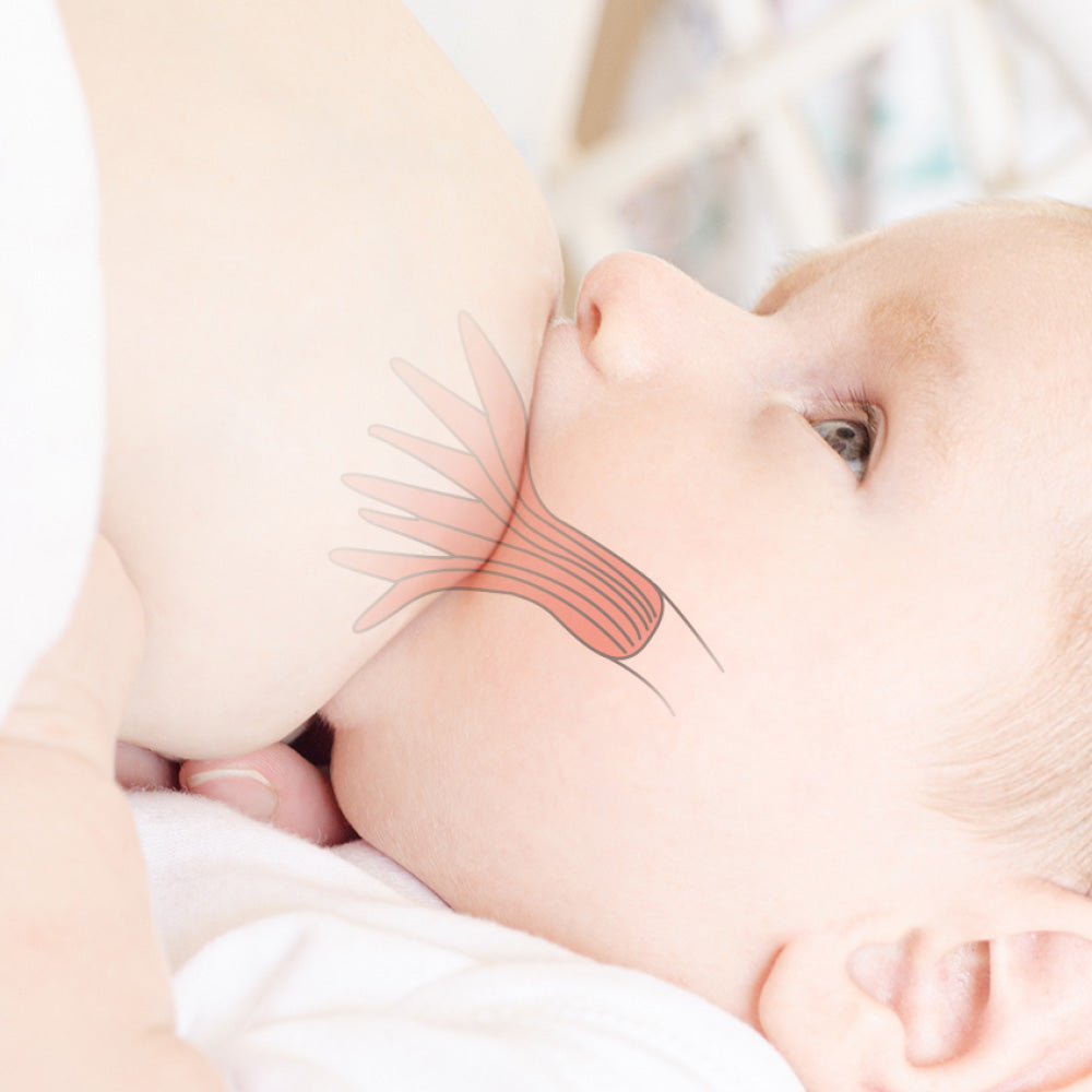 Haakaa Pelatútta Anti Colic (2 stk)